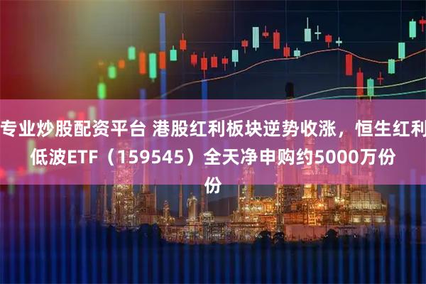 专业炒股配资平台 港股红利板块逆势收涨，恒生红利低波ETF（159545）全天净申购约5000万份