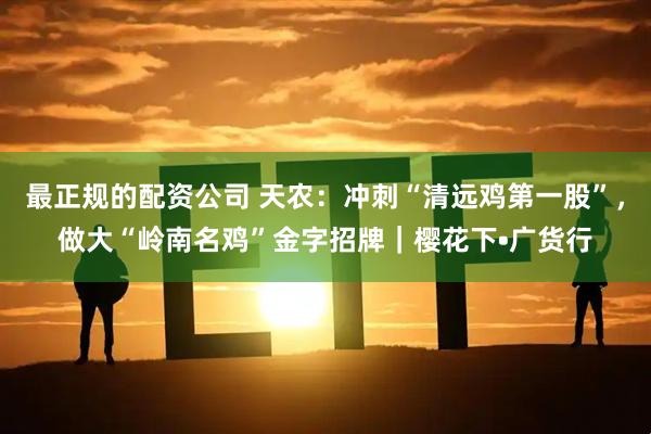 最正规的配资公司 天农：冲刺“清远鸡第一股”，做大“岭南名鸡”金字招牌｜樱花下•广货行