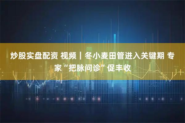炒股实盘配资 视频｜冬小麦田管进入关键期 专家“把脉问诊”促丰收